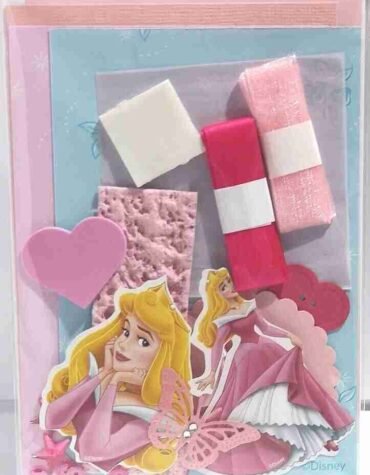 Sleeping Beauty General
