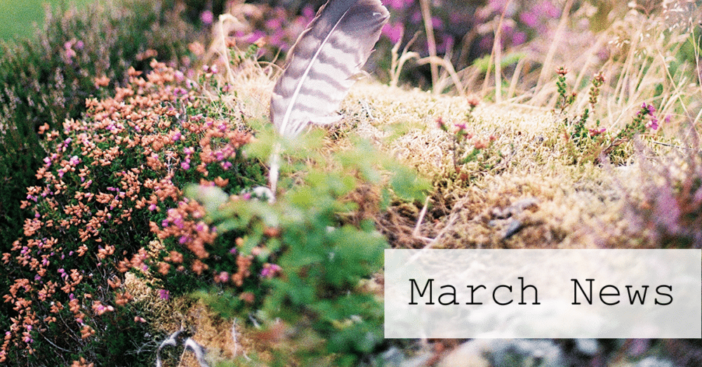 March News!