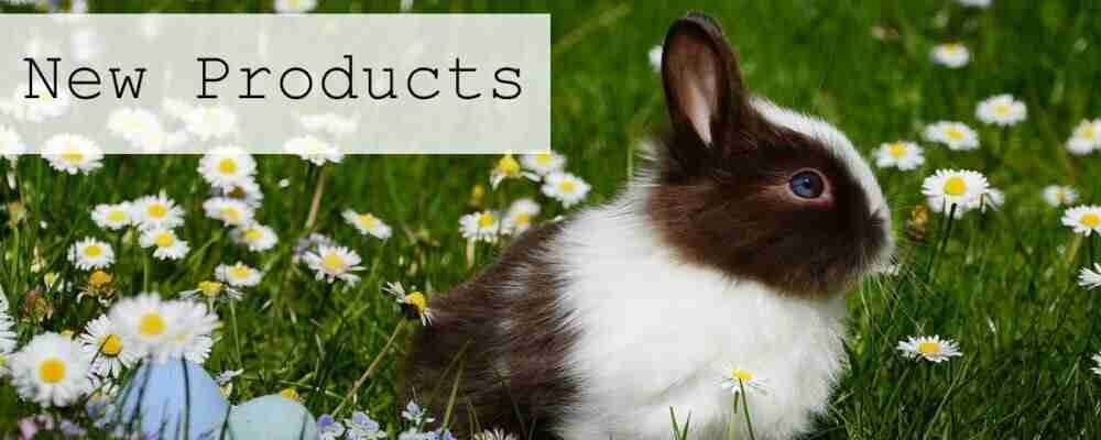 Easter Card Making Kits