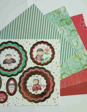 06-Ladybird-Red-Green-Birthday