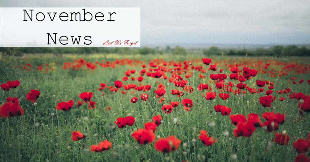 November News!