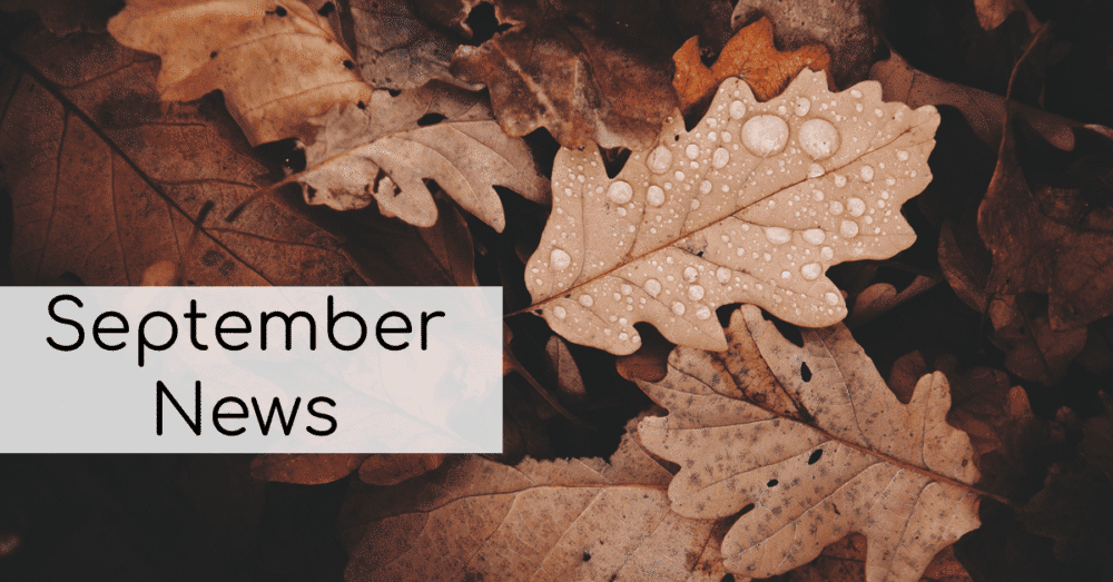 September News @ The Craft Box