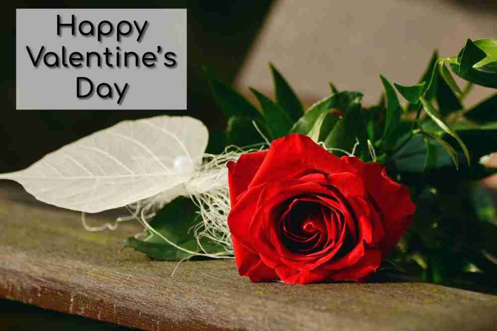 Happy Valentine's Day