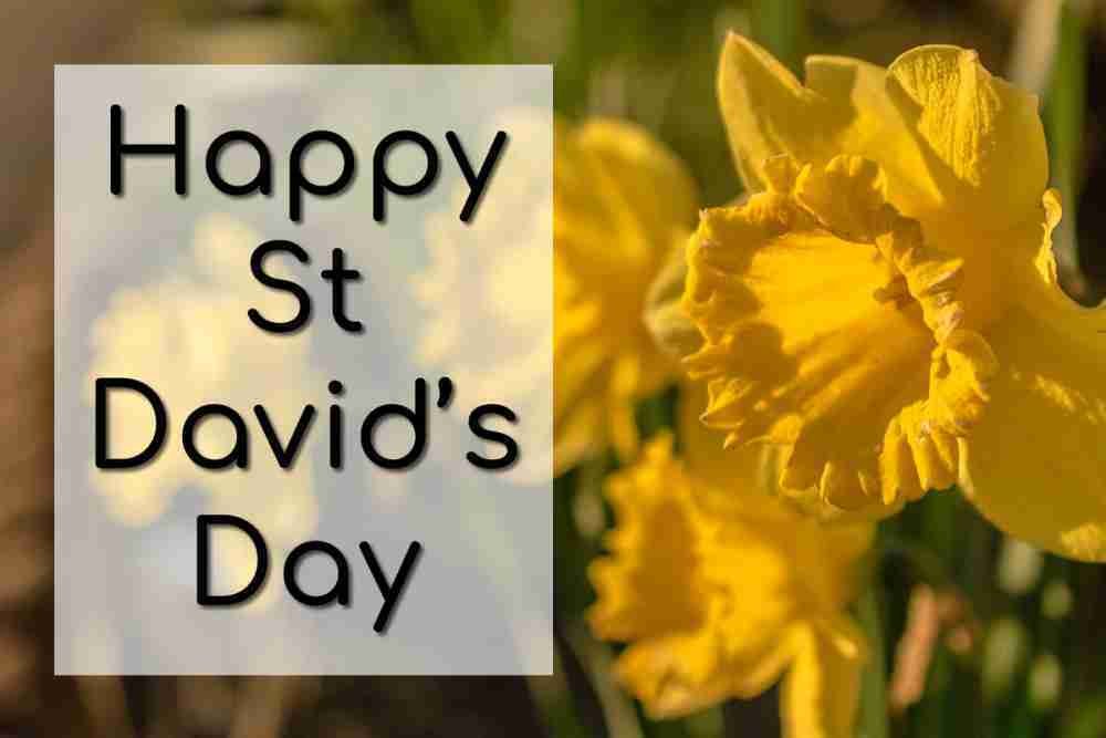 Happy St David's Day