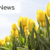 April News!