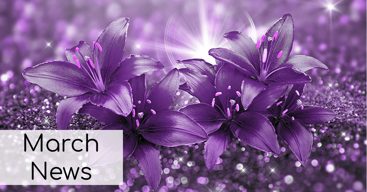 The Craft Box   March News   The Craft Box