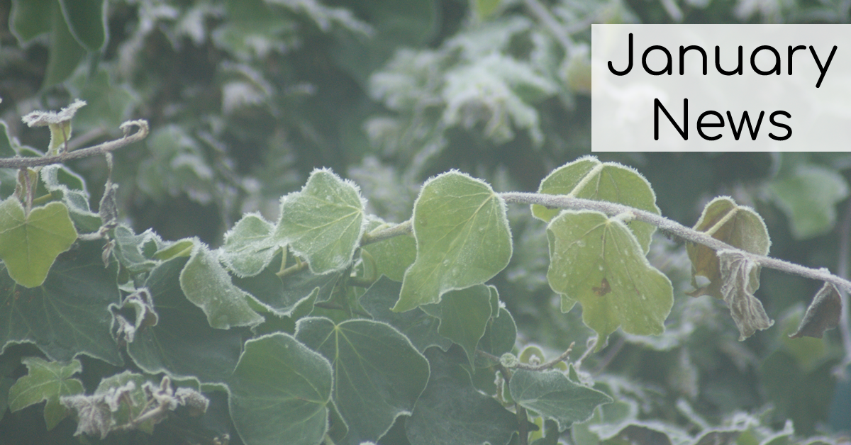 january news 2026 fw The Craft Box The Craft Box